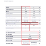 Kocioł MPM DS DUO 17kW drewno i węgiel