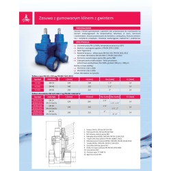 Zasuwa gwintowana DN32 x 1 1/4 GW, żeliwo szare ANWOD