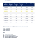 Stalowy Grzejnik Panelowy TYP-11 600x1000 BOCZNE Z MOCOWANIEM DIAMOND