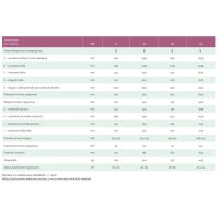 Kocioł zasypowy z automatyką i wentylatorem wyciągowym UNI DS 9 kW DREW-MET