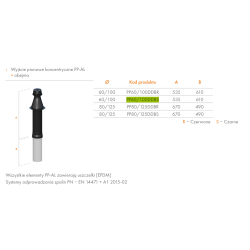 Wyjście pionowe koncentryczne czarne 60/100 RICOM