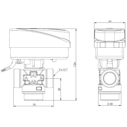 3-drogowy zawór strefowy AZV 643 DN20, G1