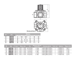 Zawór mieszający 3-drogowy Controlmix DN40 VALVEX